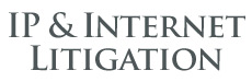 Intellectual-Property-And-Internet-Litigation-